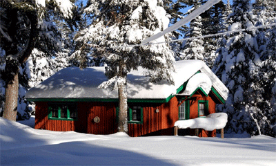 National Forest Lodge
