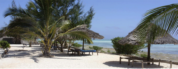 Tanzanite Beach Resort Webrezpro Tanzanite Beach Resort