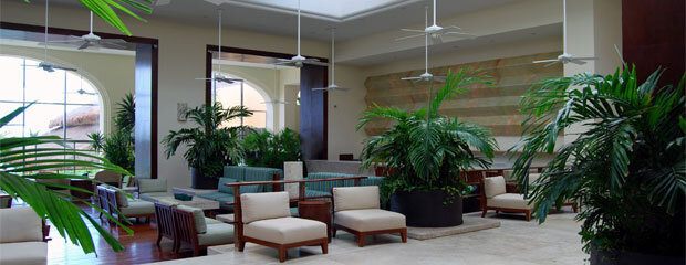 Hotel Design Trends