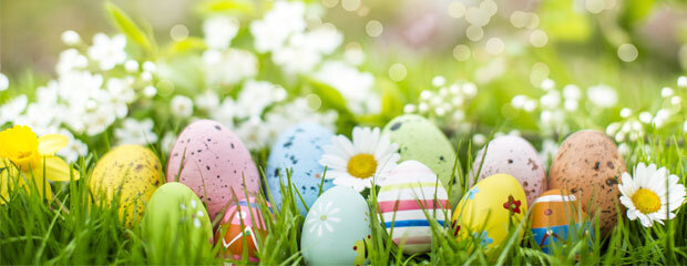 Celebrate Spring with Style: A Hotelier's Guide to Easter • WebRezPro Cloud  PMS