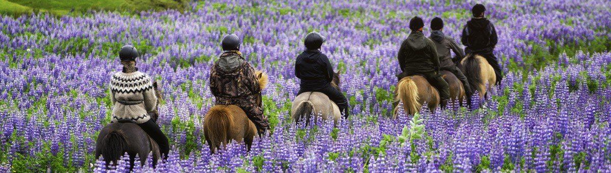 pms-trail-rides