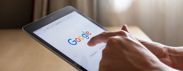 Google + WebRezPro
